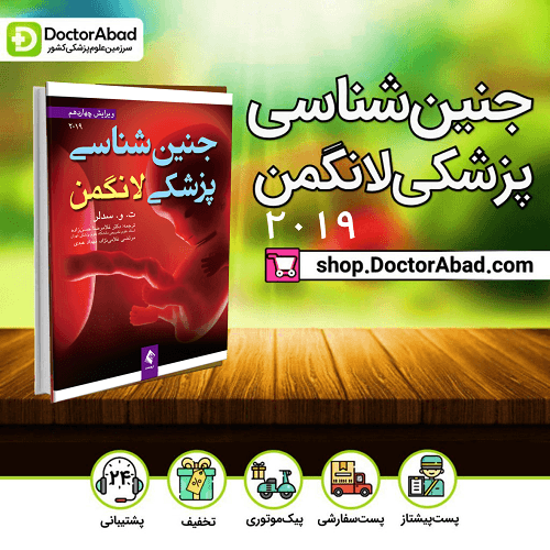 جنین شناسی پزشکی لانگمن 2019(انتشارات ارجمند)