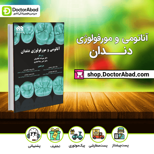 آناتومی و مورفولوژی دندان(مرسدس دنت)