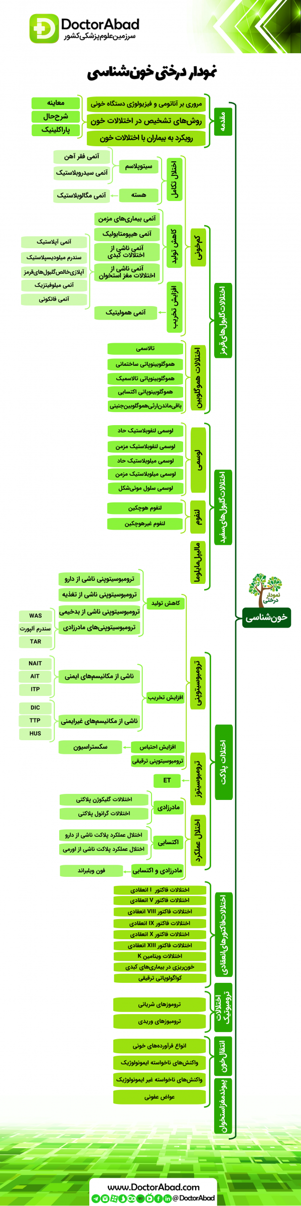 دکترآباد نمودار درختی خون شناسی