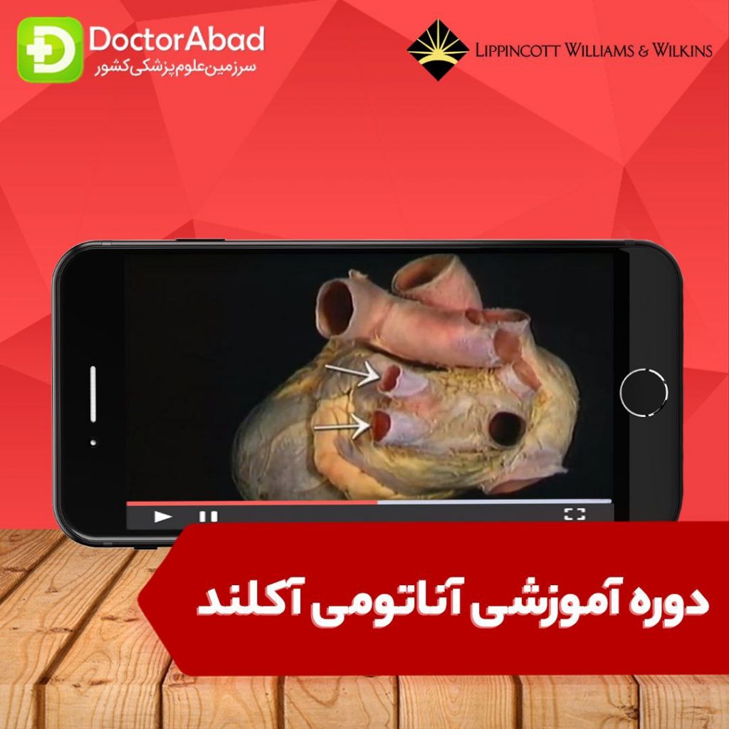 دکترآباد | دوره آموزشی آناتومی آکلند