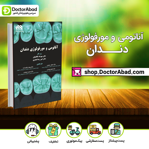 آناتومی و مورفولوژی دندان(مرسدس دنت)