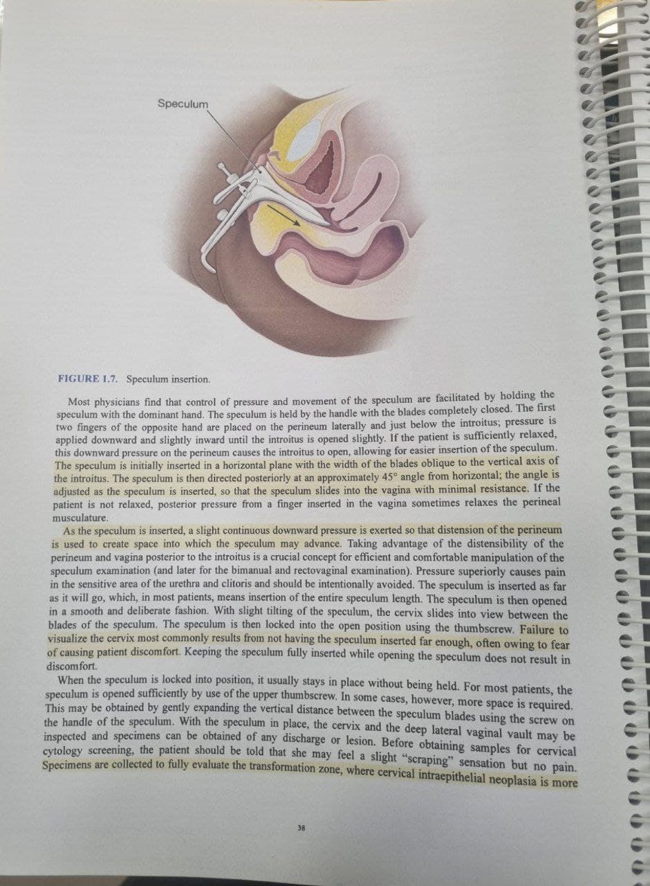 Beckmann and Ling’s Obstetrics and Gynecology 2024