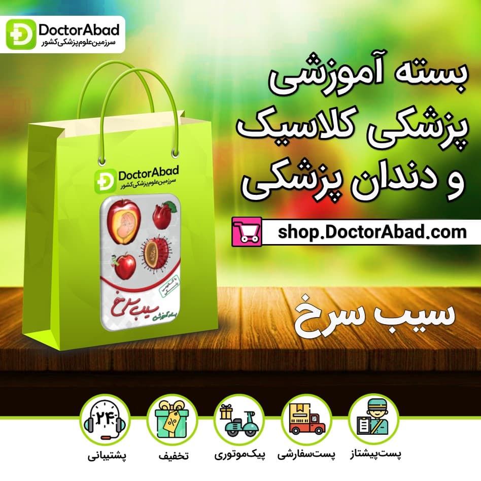 بسته سیب سرخ با آناتومی رنگی (پزشکی ریفرم و دندانپزشکی)