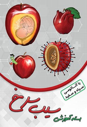 بسته آموزشی سیب سرخ با آناتومی سیاه وسفید (دندانپزشکی)(نشر دانش آموختگان تهران)
