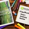 gray's anatomy review