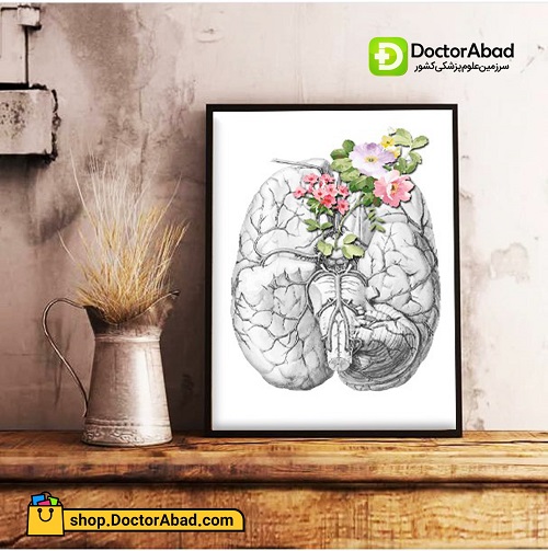 تابلوی هنر آناتومی مغز و گل