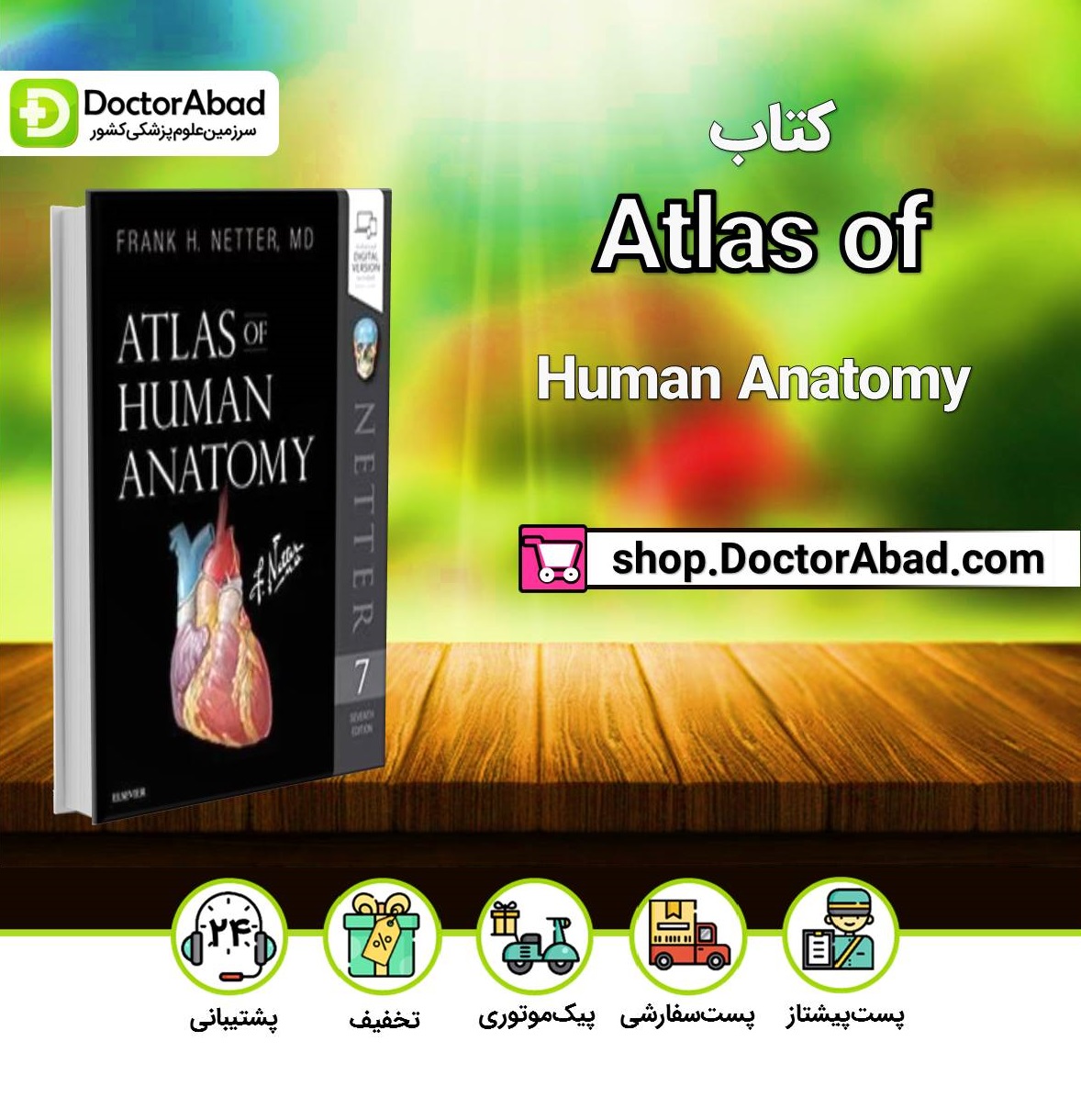 Atlas of Human Anatomy Netter 2018 a